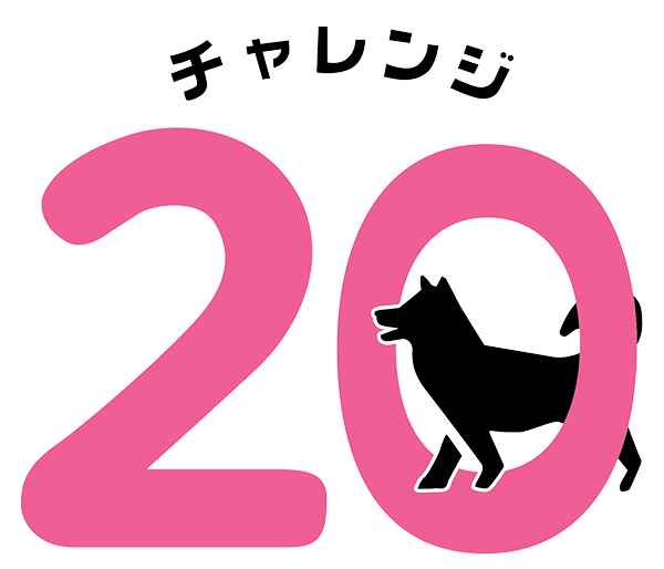 チャレンジ20