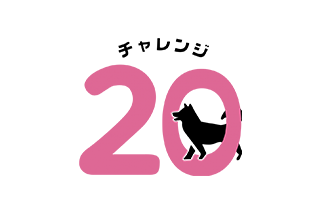 チャレンジ２０について